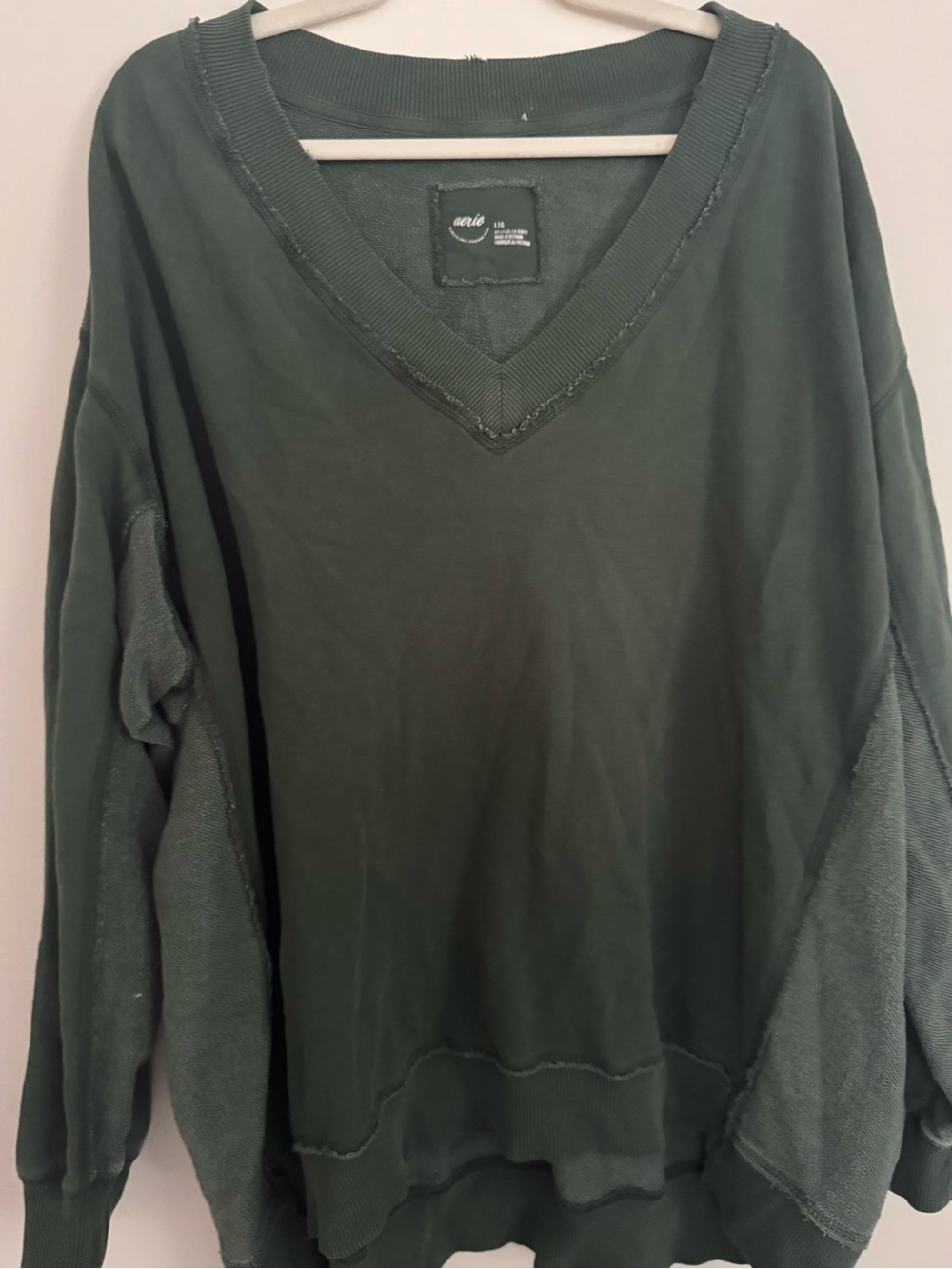 aerie Men's V-Neck Sweater in Deep Green